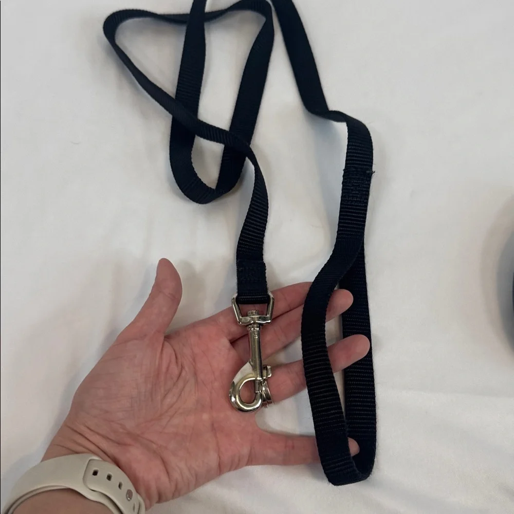 Black Retractable Dog Leash & short black leash - NWOT